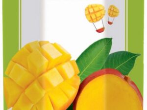 DIMES NECTAR | 34 fl oz (1000ml) x 12pcs | MANGO